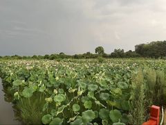-军山湖云水间生态农业旅游景区