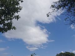 -长洲岛都市农业公园