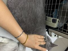 -瑞鹏宠物医院·眼科·皮肤·中兽医(大悦城分院)