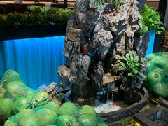 -东椰·海南椰子鸡火锅(朝阳门店)