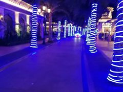 -三亚海昌梦幻海洋不夜城