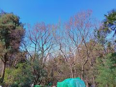 -昆明动物园