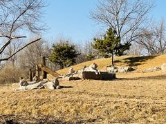 -北京野生动物园