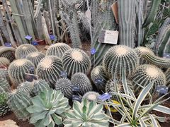 -国家植物园南园