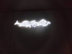 -白鹤梁水下博物馆