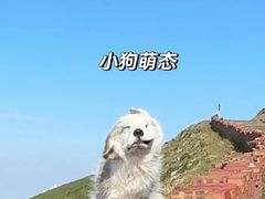 -五台山圆照寺