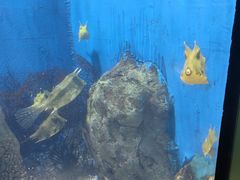 -福州罗源湾海洋世界旅游区