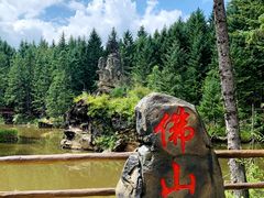 -茅兰沟国家森林公园