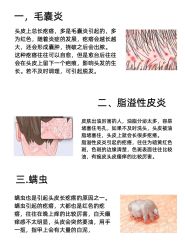 -Bollins波林丝•专研护发中心