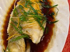 -化州大众美食城(宝安老牌店)