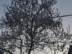 -老友咖啡馆(吉林财富购物广场店)