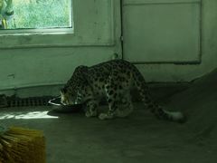 -青藏高原野生动物园
