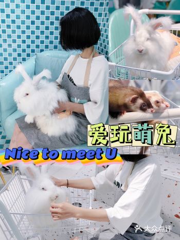 小兔子乖乖快点让我抱抱你吧！