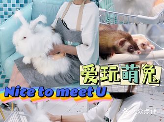 小兔子乖乖快点让我抱抱你吧！