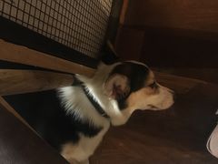 -萌喵咖啡屋(人民东路4号口M16商铺店)