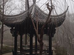 iphone_upload_pic-朱家角课植园