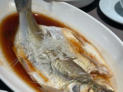 -晓淮山·扬州早茶·淮扬菜(龙阳广场店)