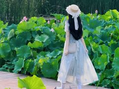 -艾溪湖湿地公园