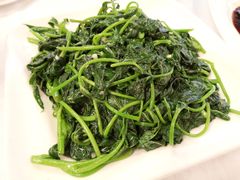 番薯叶-朱仔记食府(江南大道店)