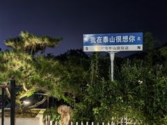 -蘇河湾·新鲁菜·泰山宴(泰山店)