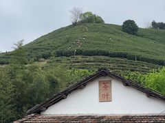 -莫干山风景区