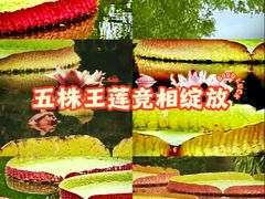 -国家植物园南园