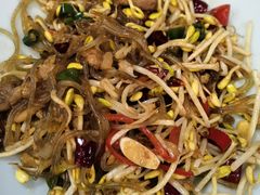 豆芽菜炒粉丝-昱德来·天津菜(河西店)