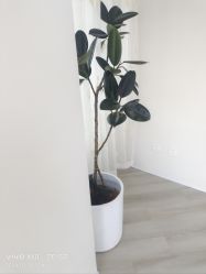 -HEYAN荷妍专业脱毛连锁机构