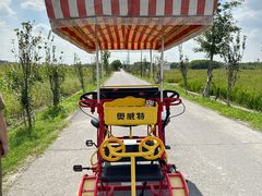 -嘉北郊野公园