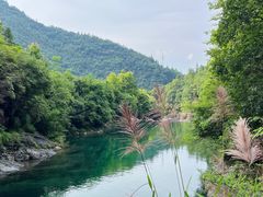 -石台牯牛降景区