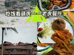 -上海野生动物园老虎餐厅