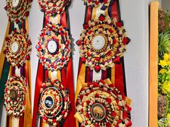 -青奢宠物·青奢猫舍