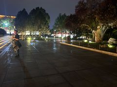 -大雁塔北广场音乐喷泉