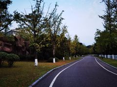 -铁山坪森林公园