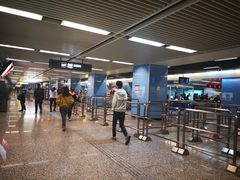 -大龙山(地铁站)