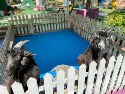 -萌宠亲子动物乐园(槐房万达店)