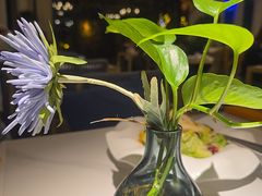 -Mezomd曼索蒂西班牙餐厅(广粤店)