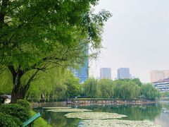 -宝岛公园