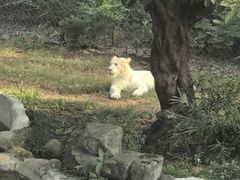 -乐和乐都主题乐园