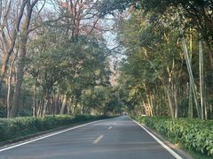 -南京东郊国宾馆