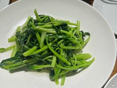 -金枝玉叶上海人家食府(三里河店)