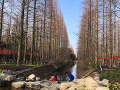-东平国家森林公园