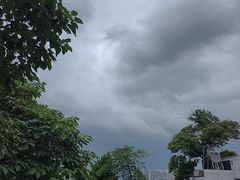 -艾溪湖湿地公园