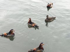 -杭州西湖银泰百货