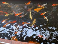 -侠成水上农庄(工业大道店)