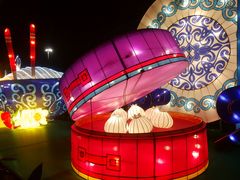 -锦江乐园舞狸花花游园会(夜场专享)