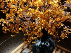 -浅深(北京北四环精品店)