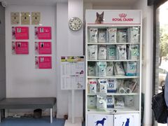 -伟伟宠物医院·CT影像中心·瑞派犬猫综合性门诊(汉口总院)