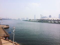 iphone_upload_pic-海河外滩公园