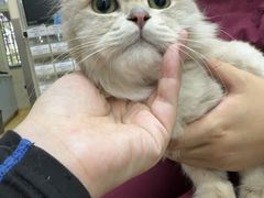 -瑞派天宁宠物医院·猫科·异宠中心